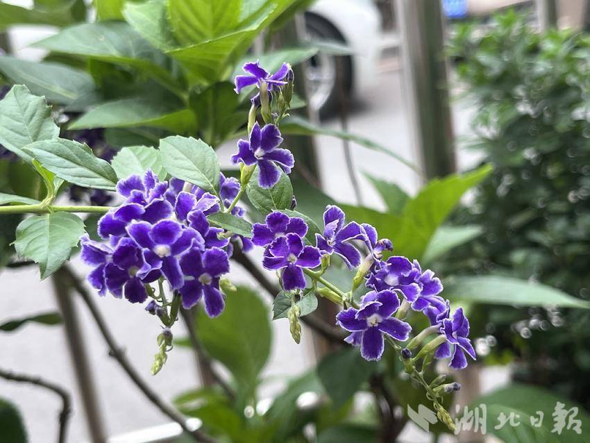 波克怎么从渠道包登陆